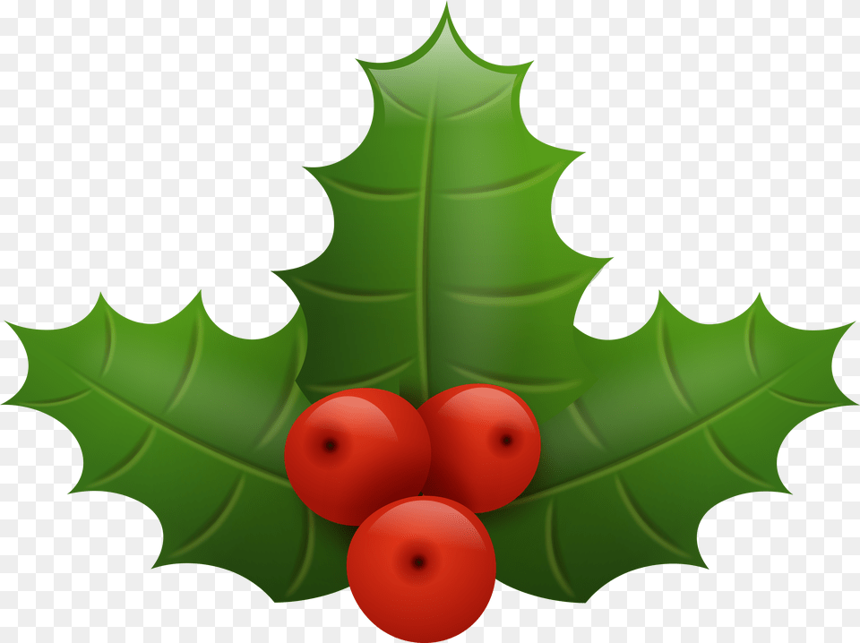 Christmas Holly Clip Art Christmas Holly Berry Vector Png Image