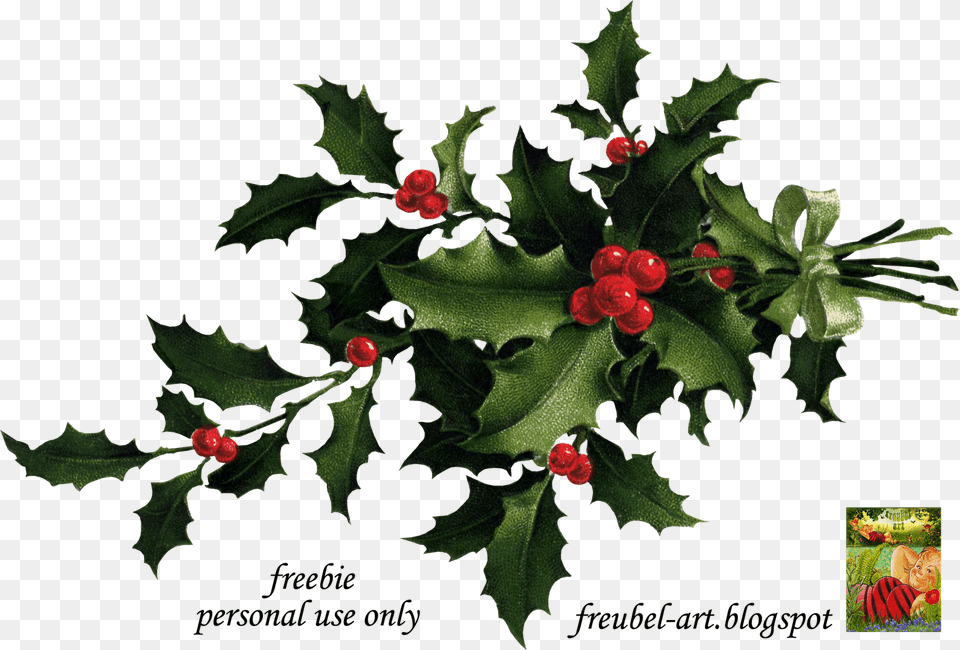 Christmas Holly Corner Download Antonia Nouwens, Leaf, Plant, Tree, Food Free Png