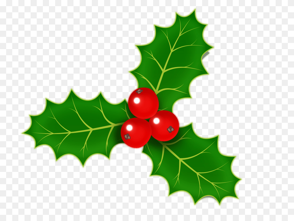 Christmas Holly Leaf, Plant, Food, Fruit Free Png Download