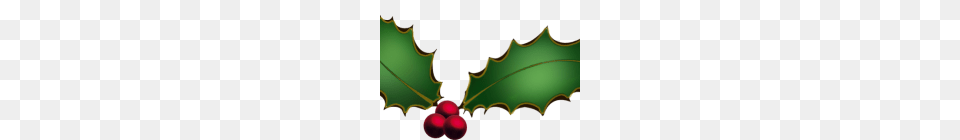 Christmas Holly Graphics Common Holly Christmas Tree Free Content, Leaf, Plant, Food, Fruit Png