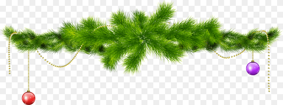 Christmas Holly Images Branch Christmas Tree Branches, Accessories, Plant, Moss, Green Png Image