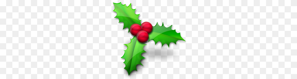 Christmas Holly Leaf Royalty Stock Images, Plant, Food, Fruit, Produce Png Image