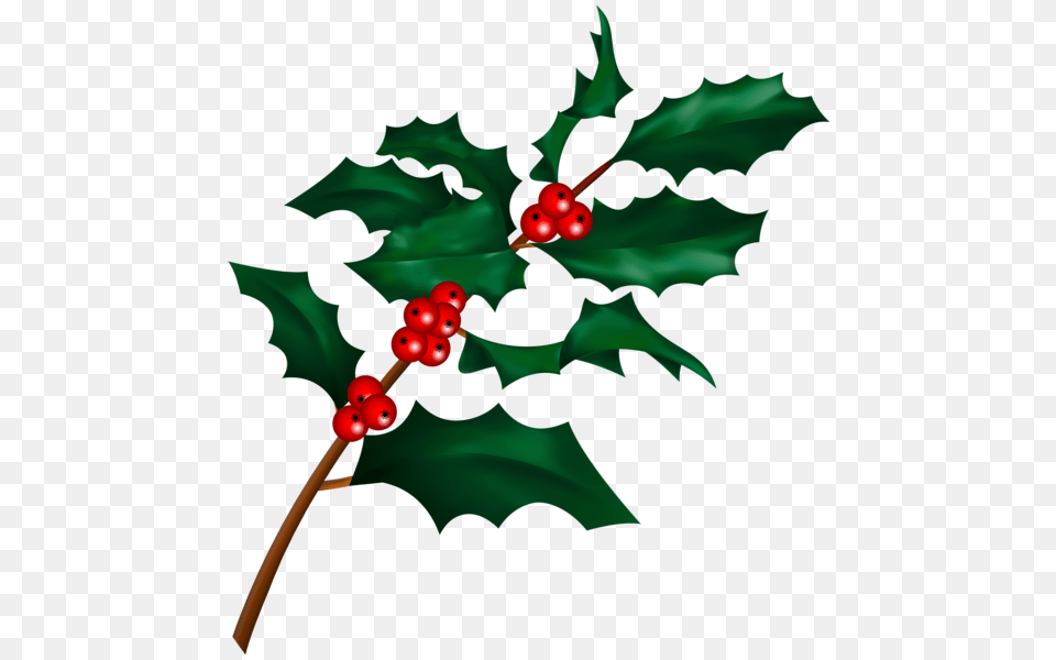 Christmas Holly Mistletoe Branch Clip, Leaf, Plant, Tree, Flower Free Png