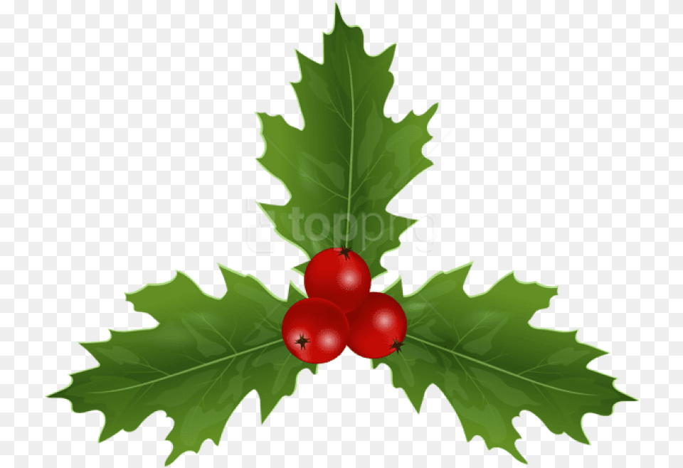 Christmas Holly Mistletoe Canadian Flag Sticker, Leaf, Plant, Food, Fruit Png