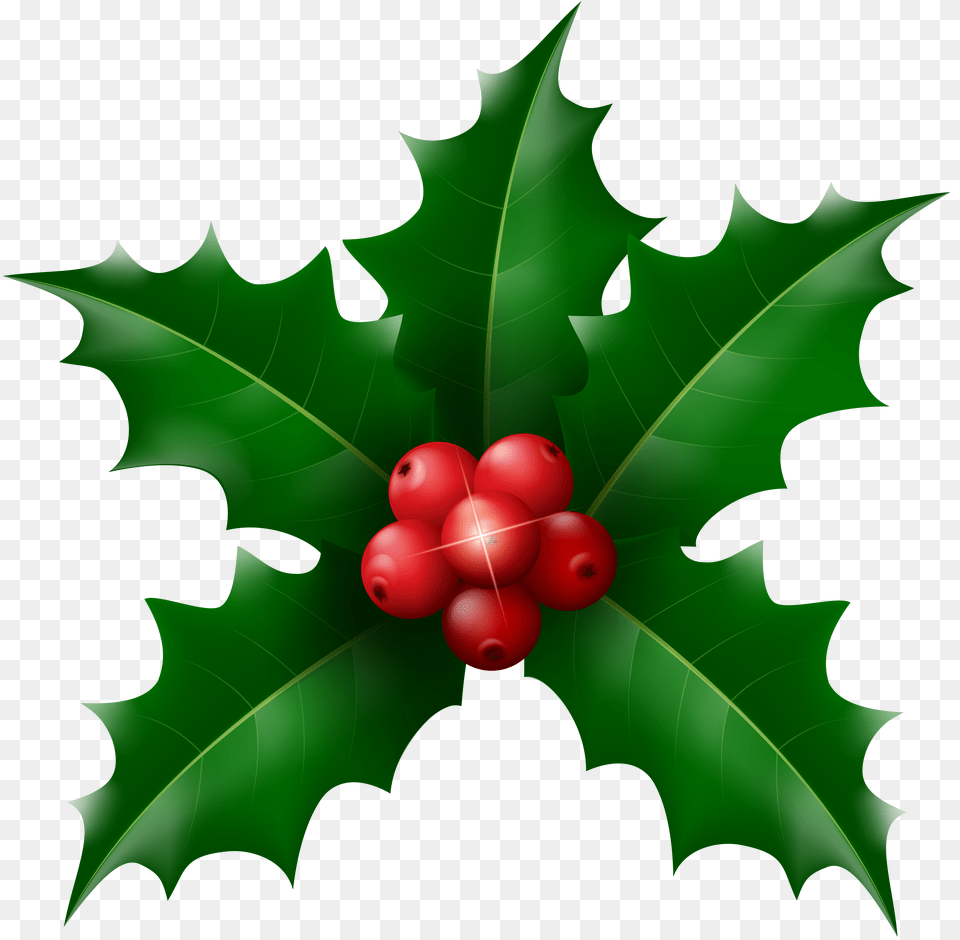 Christmas Holly Mistletoe Clip Png