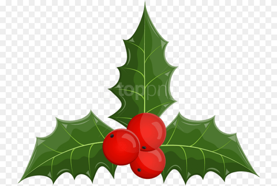 Christmas Holly Mistletoe Clip Art Christmas Mistletoe, Leaf, Plant, Food, Fruit Free Png Download