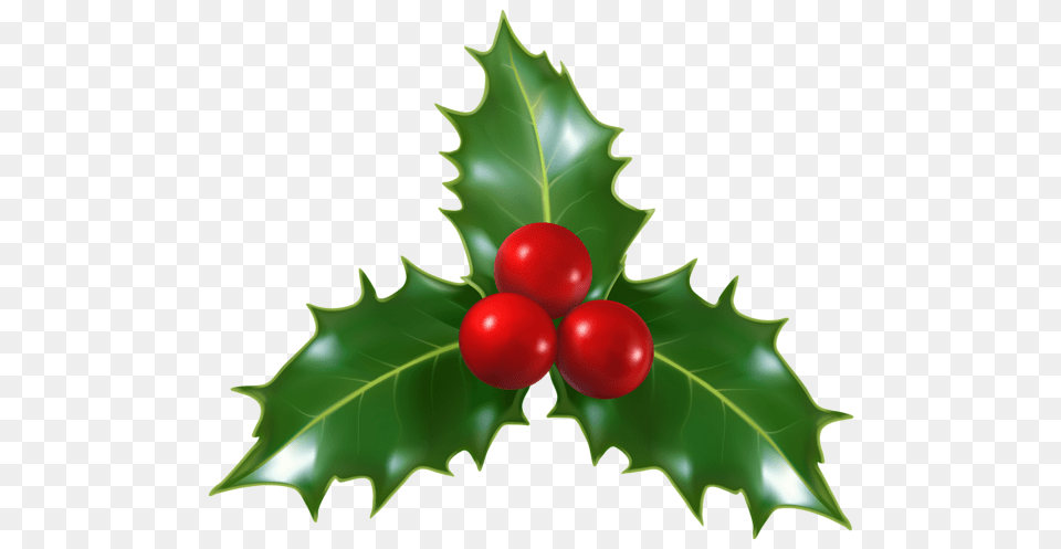 Christmas Holly Mistletoe Clip Art Gallery, Food, Fruit, Leaf, Plant Png