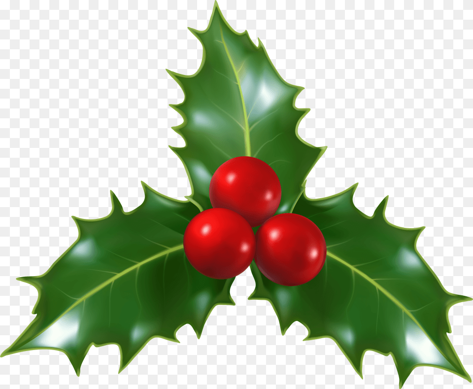 Christmas Holly Mistletoe Clip Transparent Background Holly Jpg, Cartoon, Animal, Bear, Mammal Png