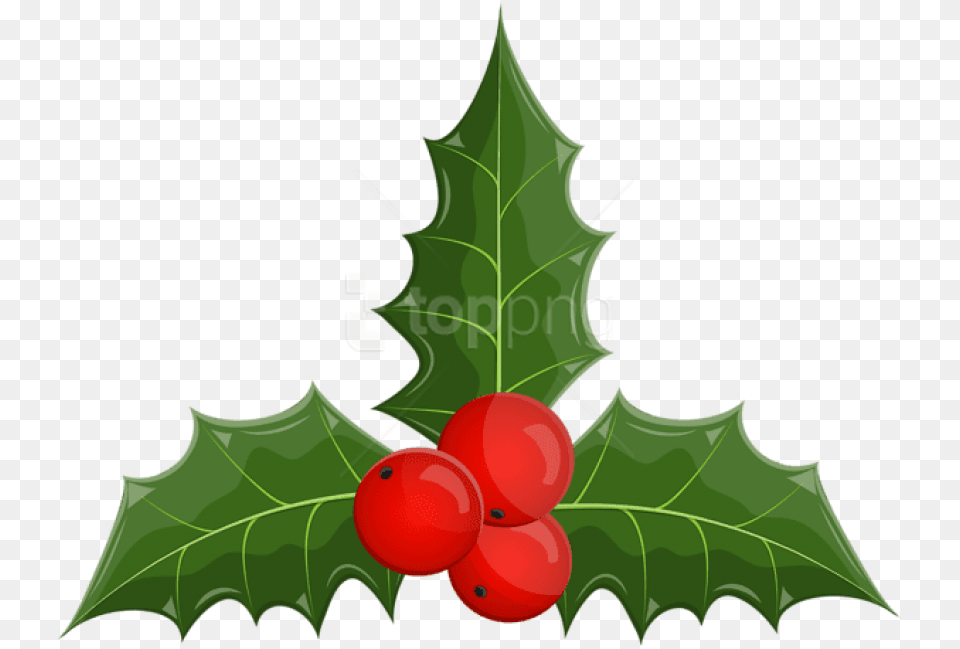 Christmas Holly Mistletoe Illustration, Leaf, Plant, Food, Fruit Free Png Download