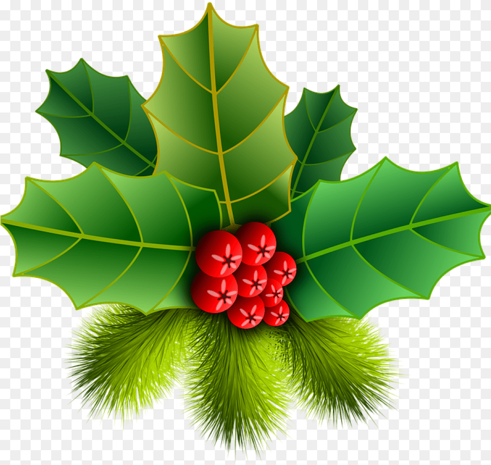 Christmas Holly Picture Christmas Holly Pinheiro Leaf, Plant, Food, Fruit Free Transparent Png