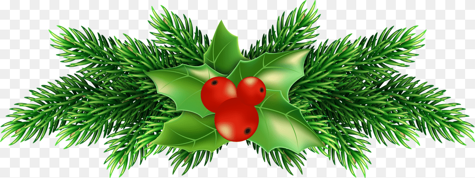 Christmas Holly Pine Clip Art Image Happy Holidays Transparent Background Png