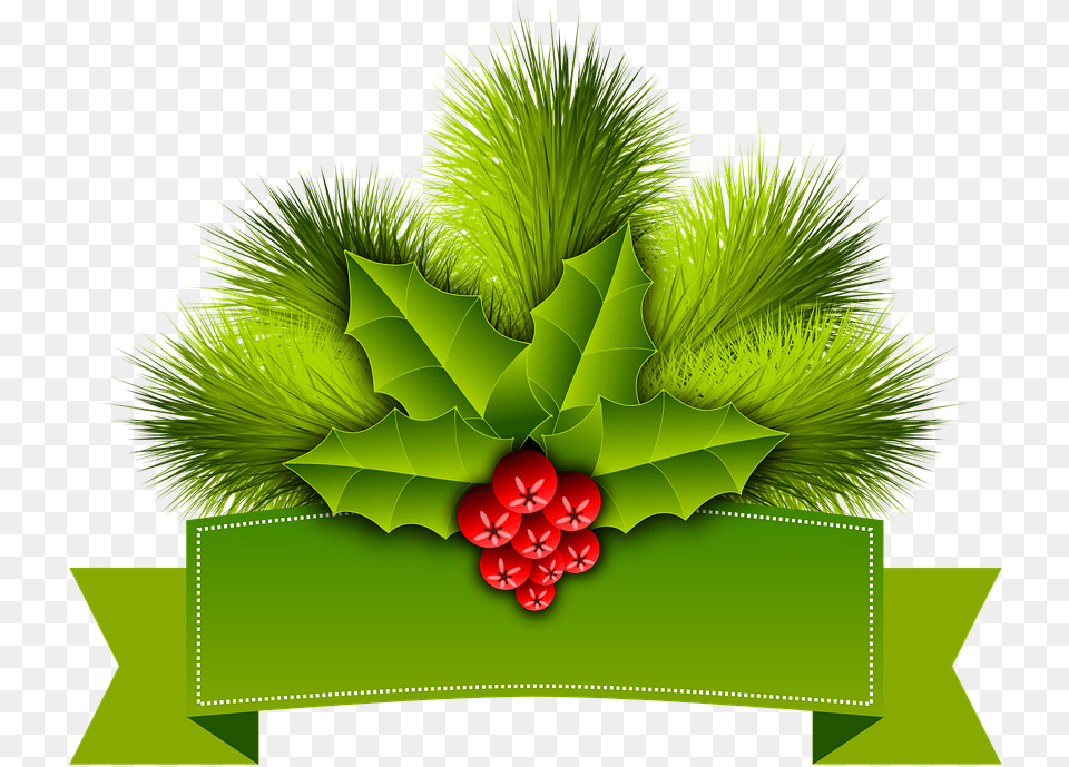 Christmas Holly Pinheiro Ornament Festive, Leaf, Plant, Food, Fruit Free Transparent Png