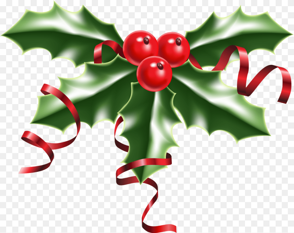 Christmas Holly Tendril Royalty Vector Image Clipart, Leaf, Plant, Person, Food Free Transparent Png