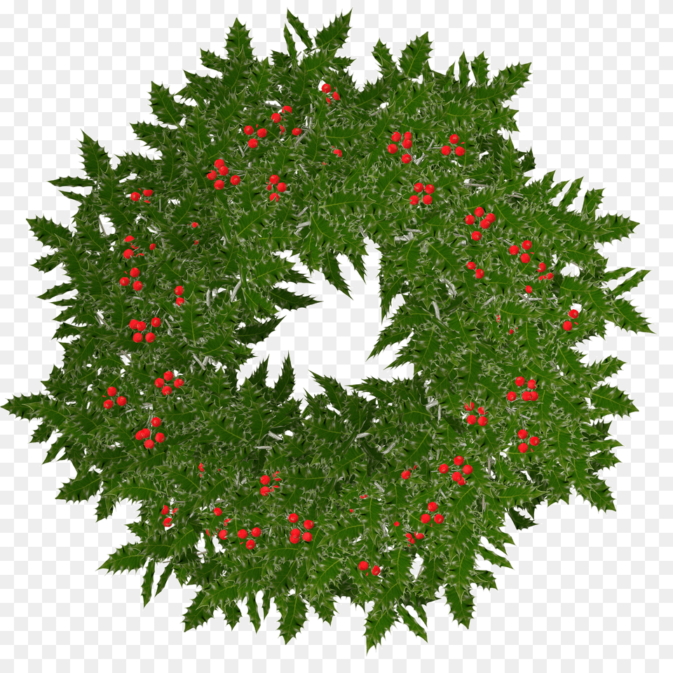Christmas Holly Wreath Clipart, Plant, Green Free Png Download