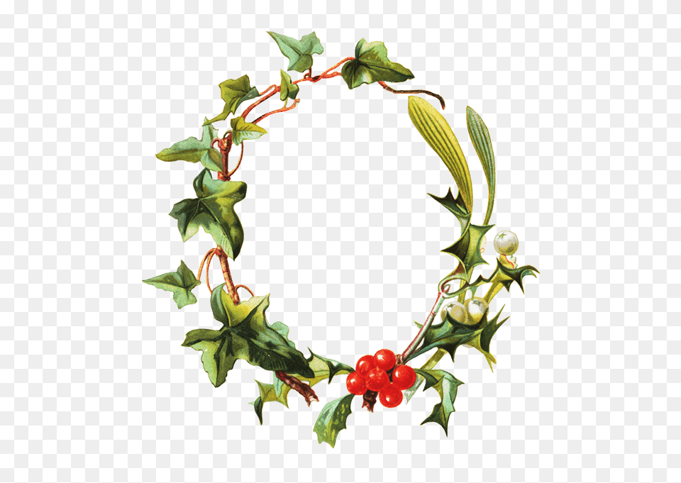Christmas Holy Frame Frame Holy Mistletoe Ivy Clip Art, Plant, Leaf, Wreath Png