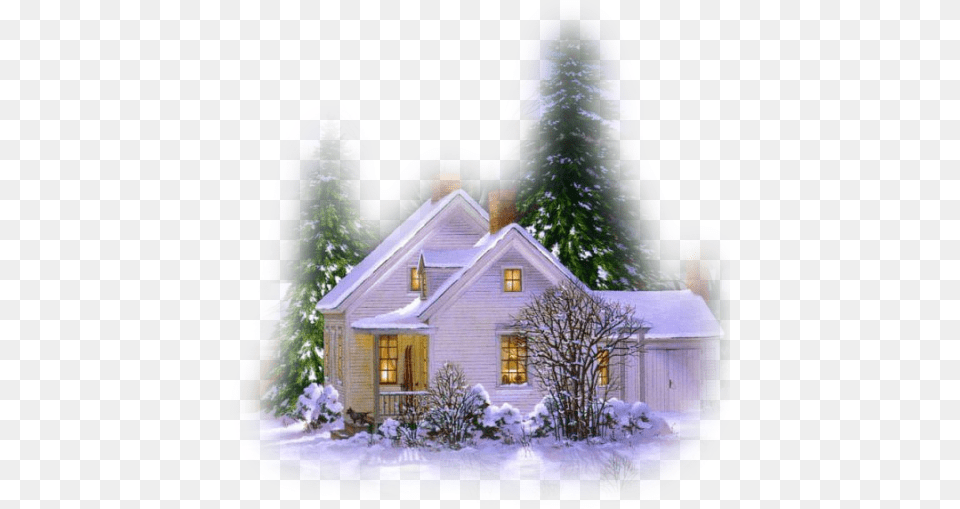 Christmas House, Architecture, Plant, Pine, Housing Free Png Download