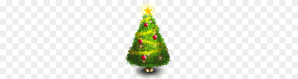 Christmas Icons, Plant, Tree, Christmas Decorations, Festival Png