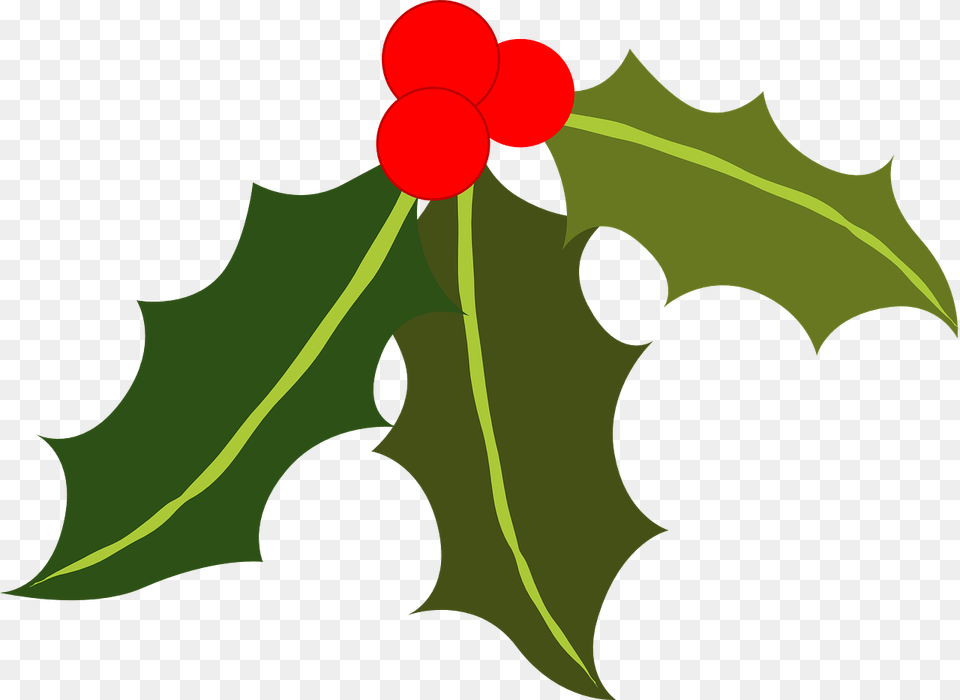 Christmas In July Header, Leaf, Plant, Flower, Person Free Png
