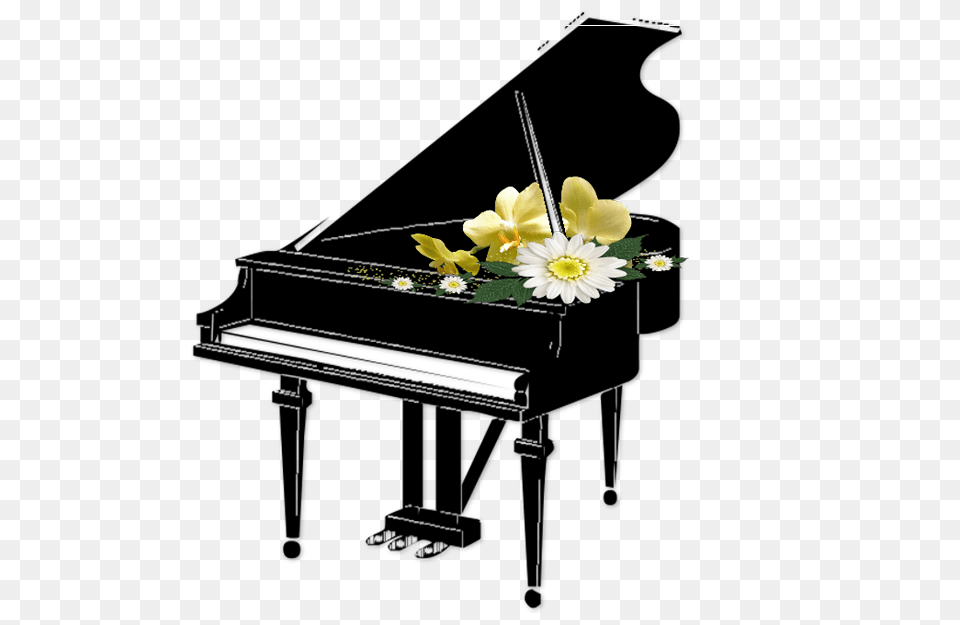 Christmas In Piano, Flower Bouquet, Plant, Daisy, Flower Free Png