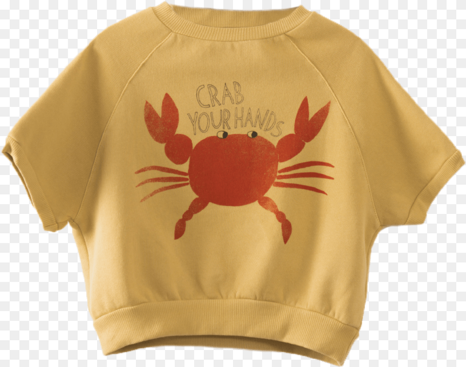 Christmas Island Red Crab, T-shirt, Sweatshirt, Sweater, Knitwear Free Png