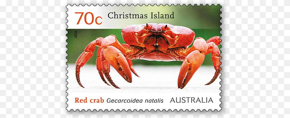 Christmas Island Red Crab Migration Australia Post Crabs In Australia Christmas Islands, Food, Seafood, Animal, Invertebrate Free Png