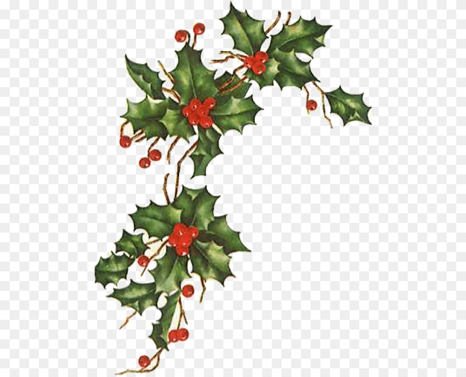 Christmas Ivy U0026 Free Ivypng Transparent Vintage Christmas Flower, Leaf, Plant, Pattern Png