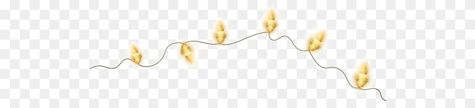 Christmas Light Transparent Yellow Christmas Lights, Flower, Plant Free Png Download