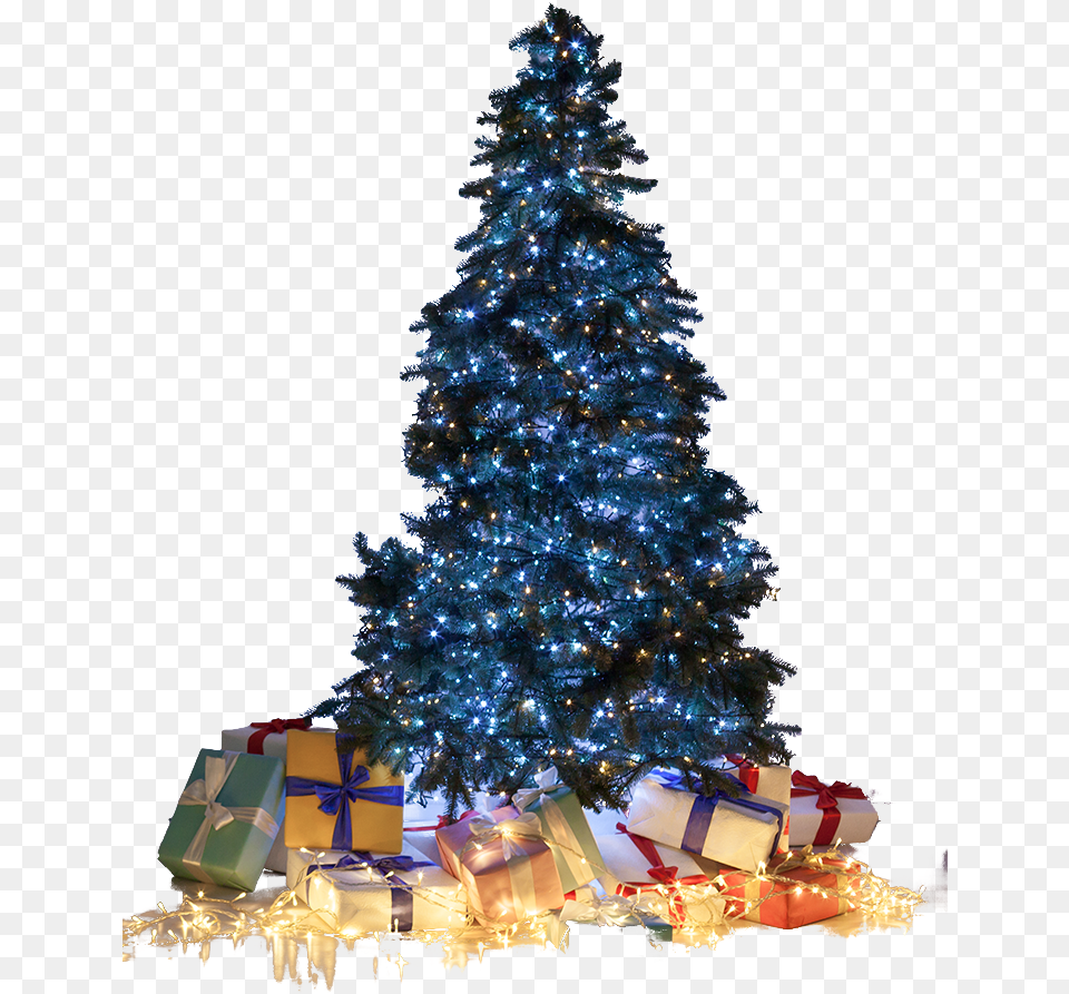 Christmas Lighting Five Star Holiday Decor Christmas Day, Plant, Christmas Decorations, Festival, Tree Free Transparent Png