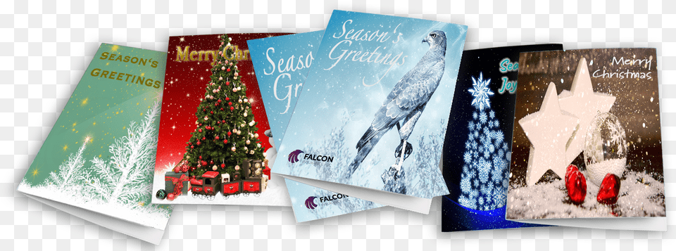 Christmas Lights, Animal, Bird, Mail, Greeting Card Free Png