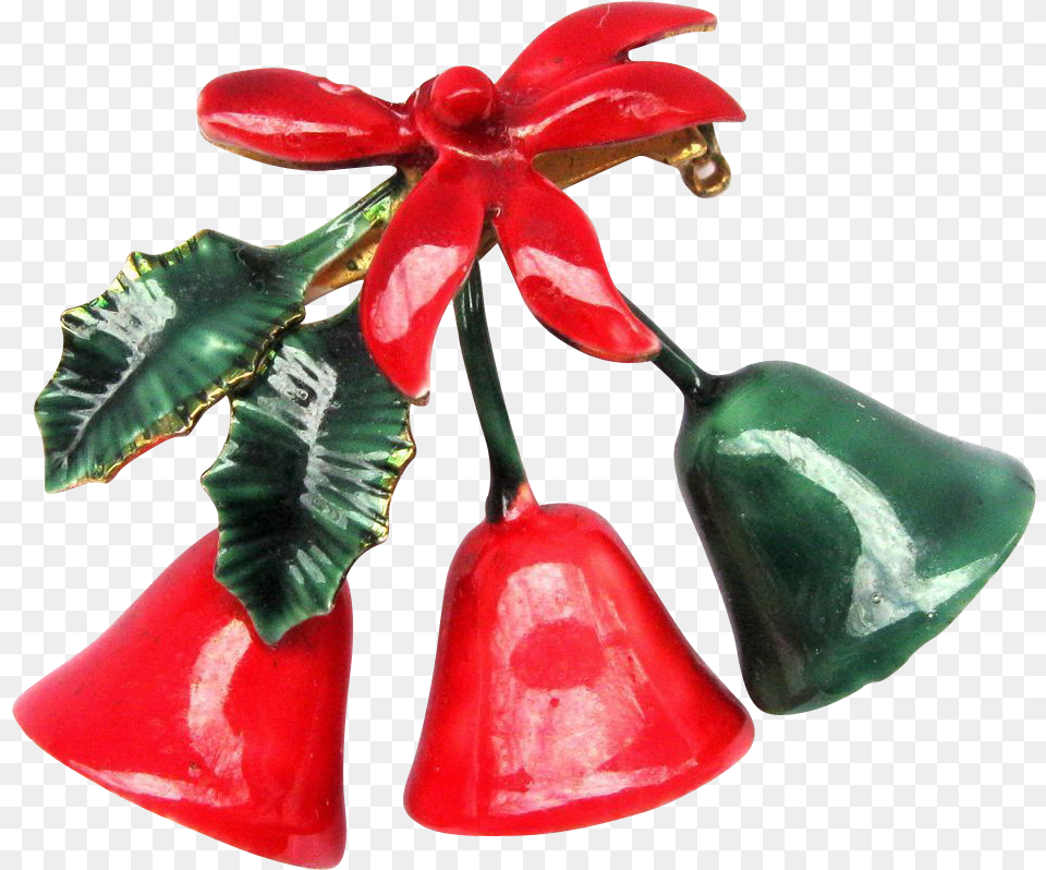 Christmas Lights, Flower, Plant, Accessories, Petal Png Image