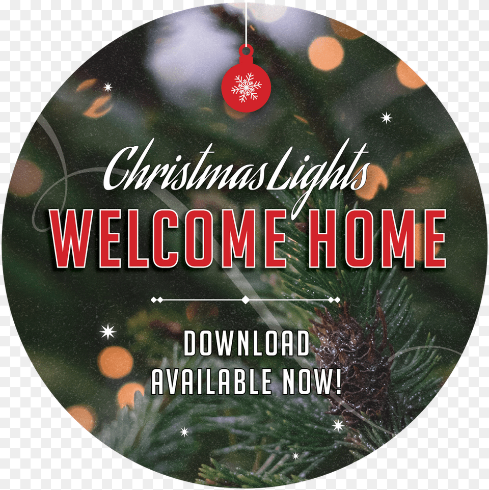 Christmas Lights Christmas Ornament, Disk, Dvd, Plant, Tree Free Transparent Png