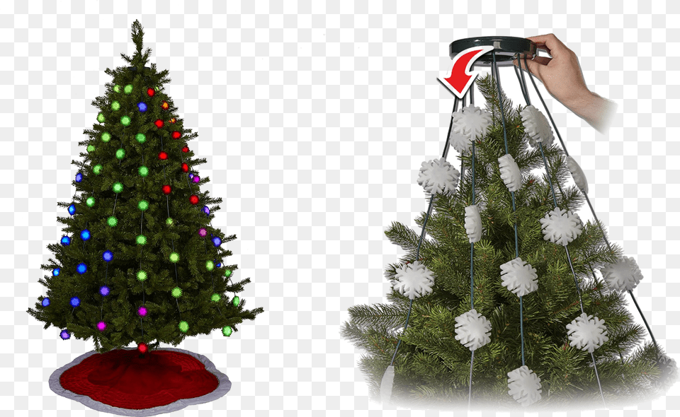 Christmas Lights Easy Installation Tree, Plant, Christmas Decorations, Festival, Christmas Tree Png