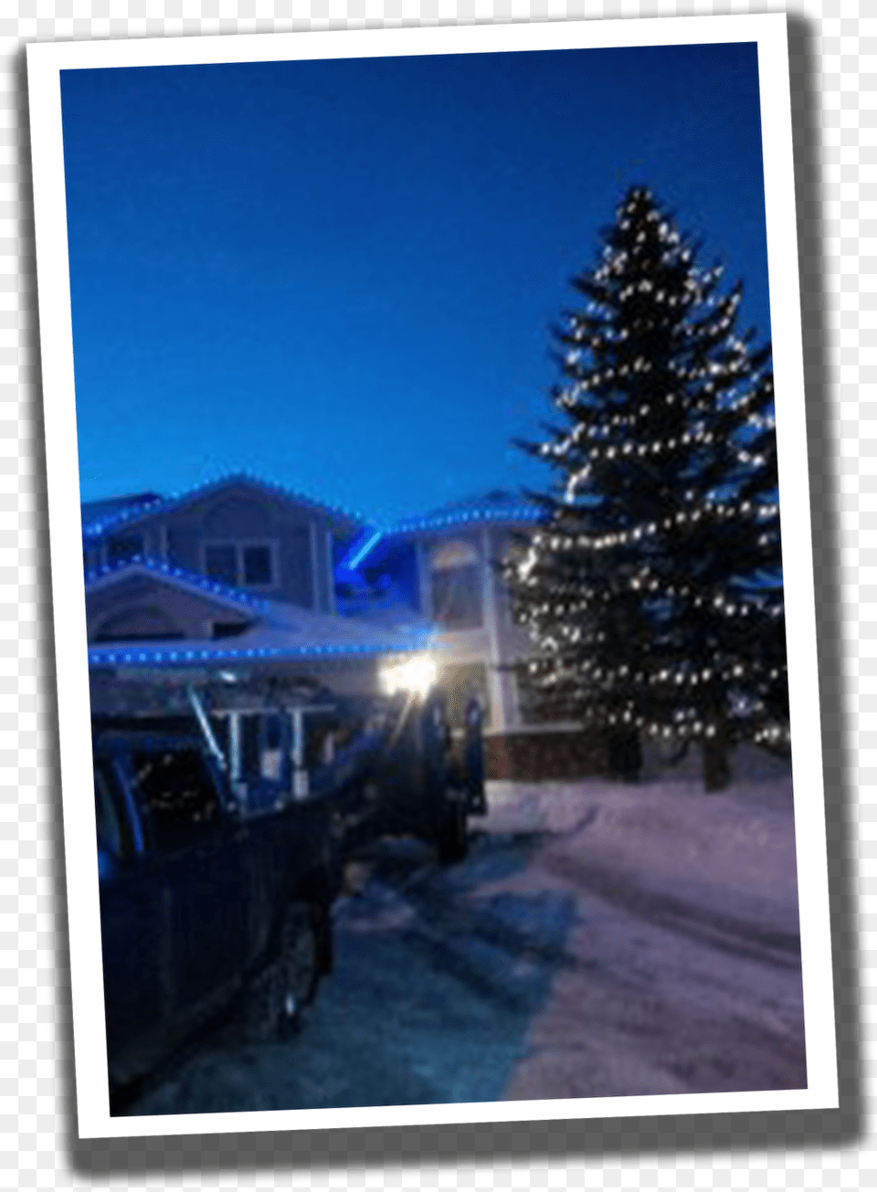 Christmas Lights Installation Beaumont Heights Residential Christmas Tree, Plant, Pine, Fir, Lighting Free Transparent Png