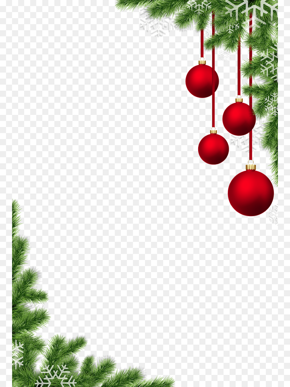 Christmas Massage Year 2018, Plant, Tree, Accessories, Christmas Decorations Png