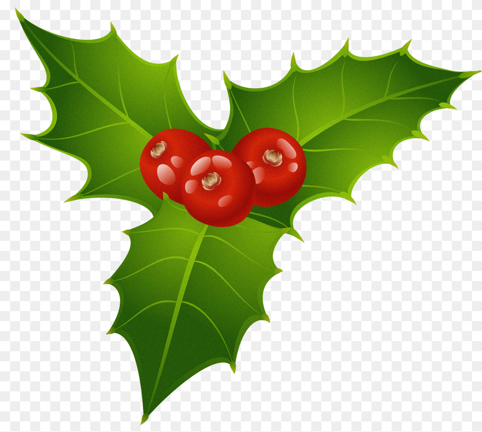 Christmas Mistletoe, Leaf, Plant, Food, Fruit Free Transparent Png