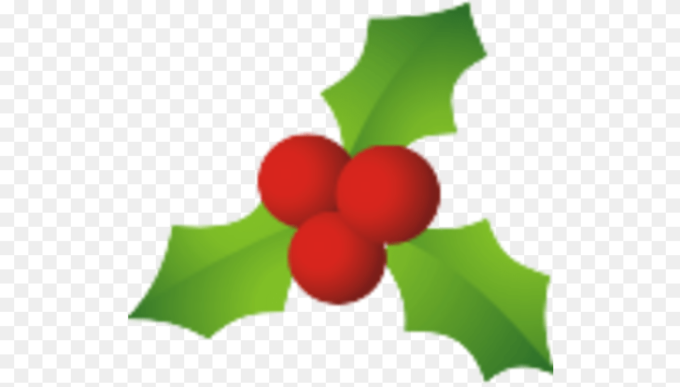 Christmas Mistletoe, Food, Fruit, Plant, Produce Png Image
