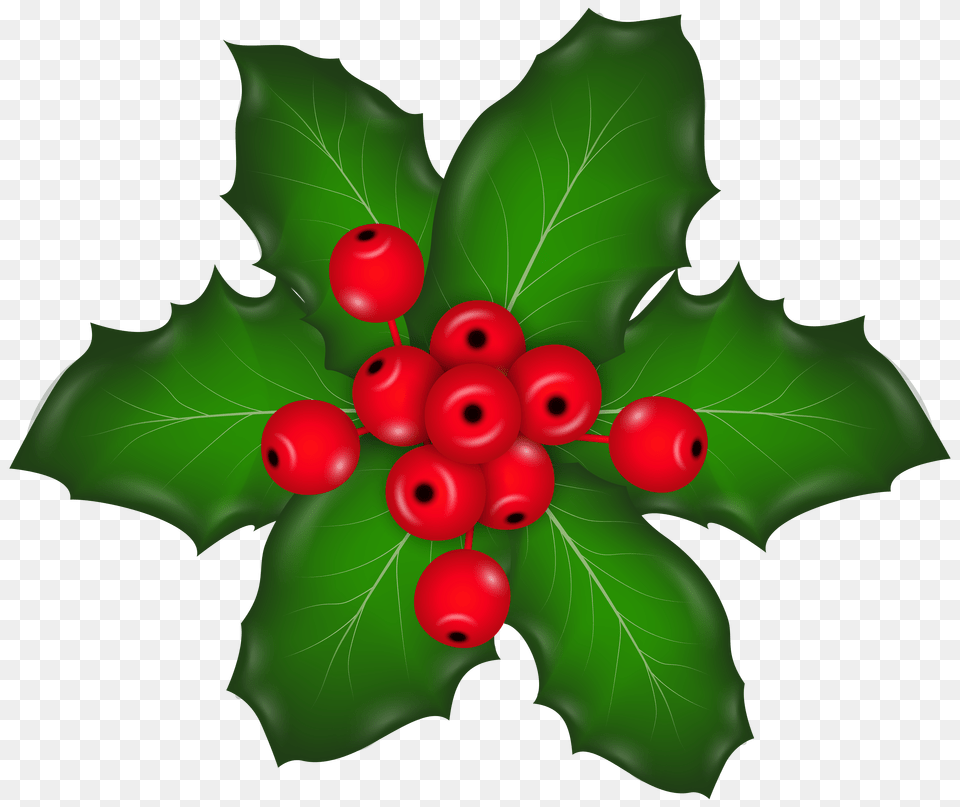 Christmas Mistletoe Clip Art Png Image