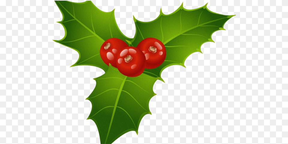 Christmas Mistletoe Clipart, Leaf, Plant, Food, Fruit Png