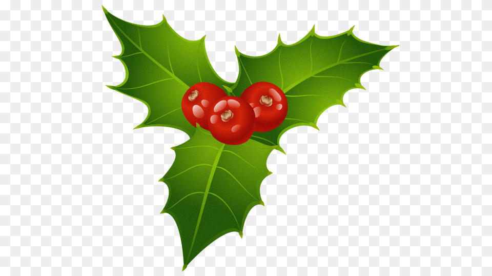 Christmas Mistletoe Clipart, Leaf, Plant, Food, Fruit Free Transparent Png