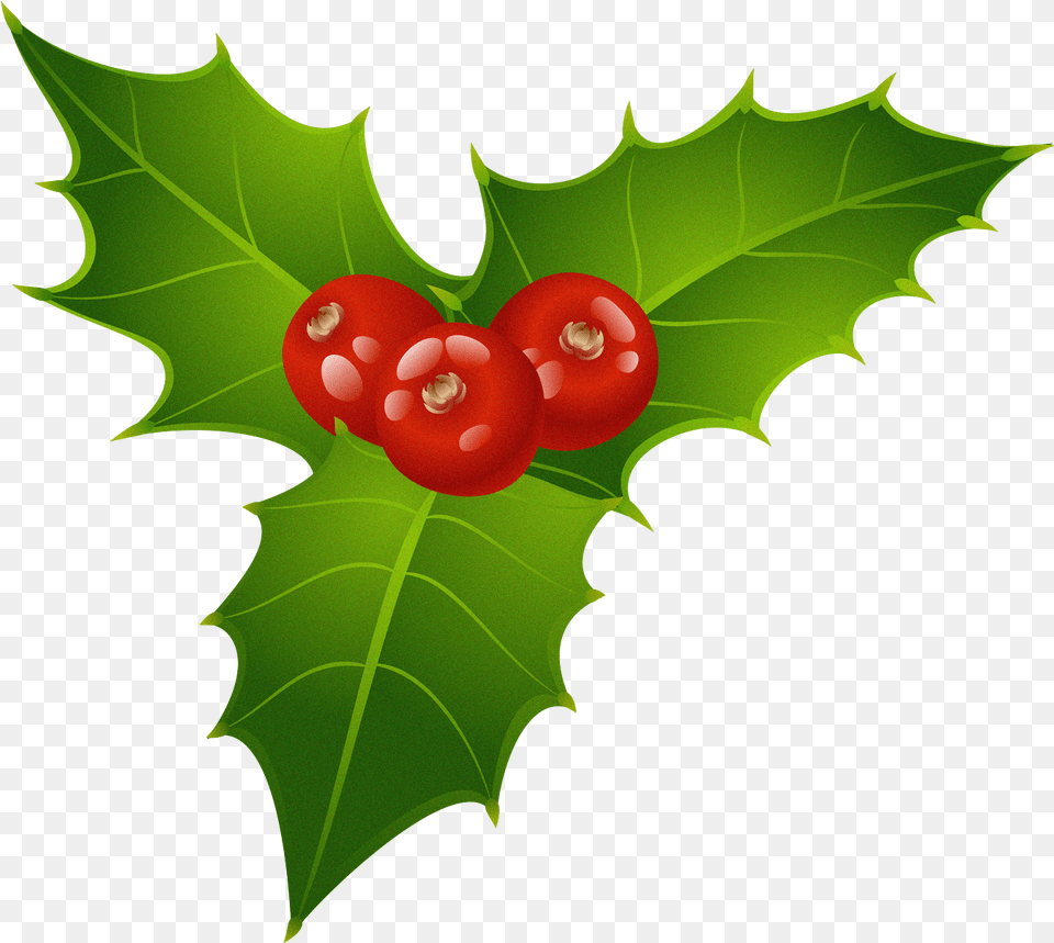 Christmas Mistletoe Clipart Gal Images Christmas Mistletoe Clipart, Leaf, Plant, Food, Fruit Png Image
