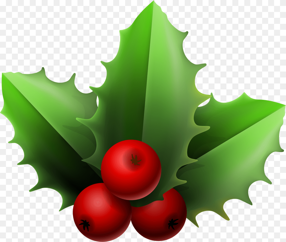 Christmas Mistletoe Clipart Mistletoe Clipart, Leaf, Plant, Food, Fruit Png Image