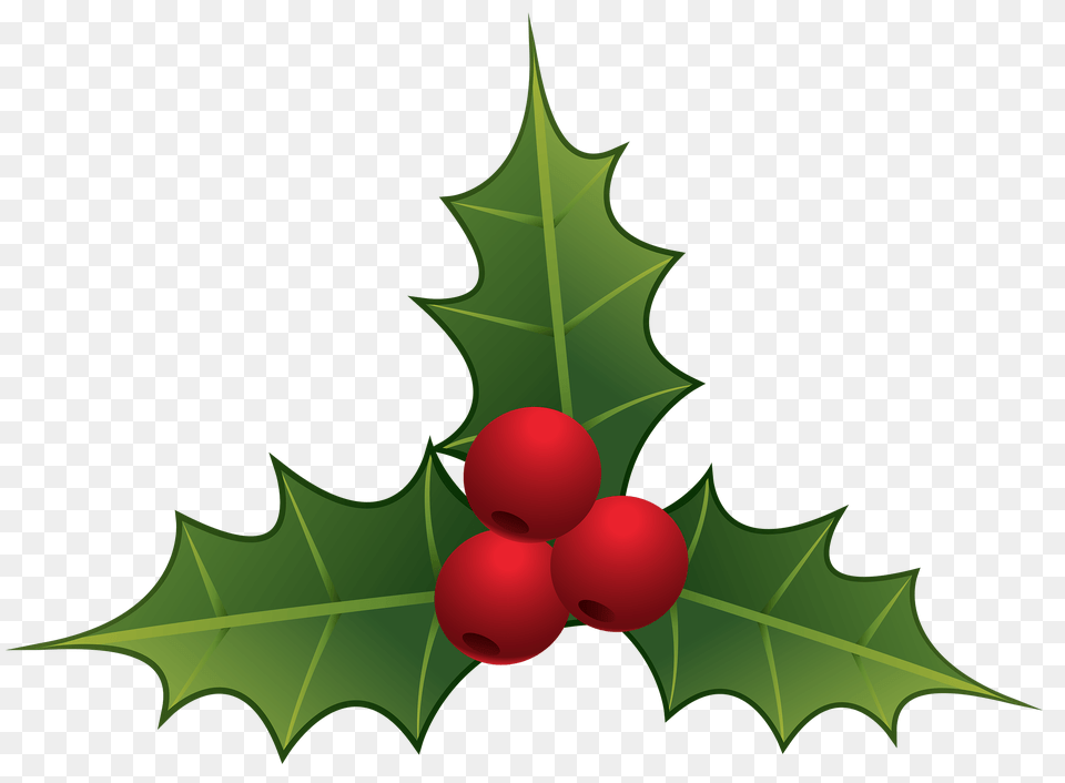 Christmas Mistletoe Cliparts, Leaf, Plant, Food, Fruit Png