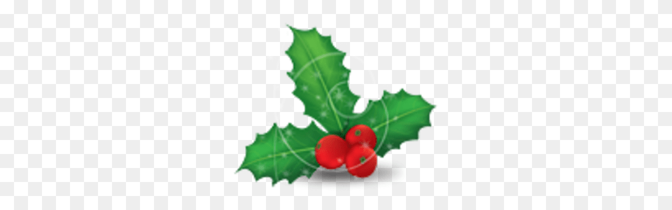 Christmas Mistletoe Images, Leaf, Plant, Food, Fruit Free Png Download