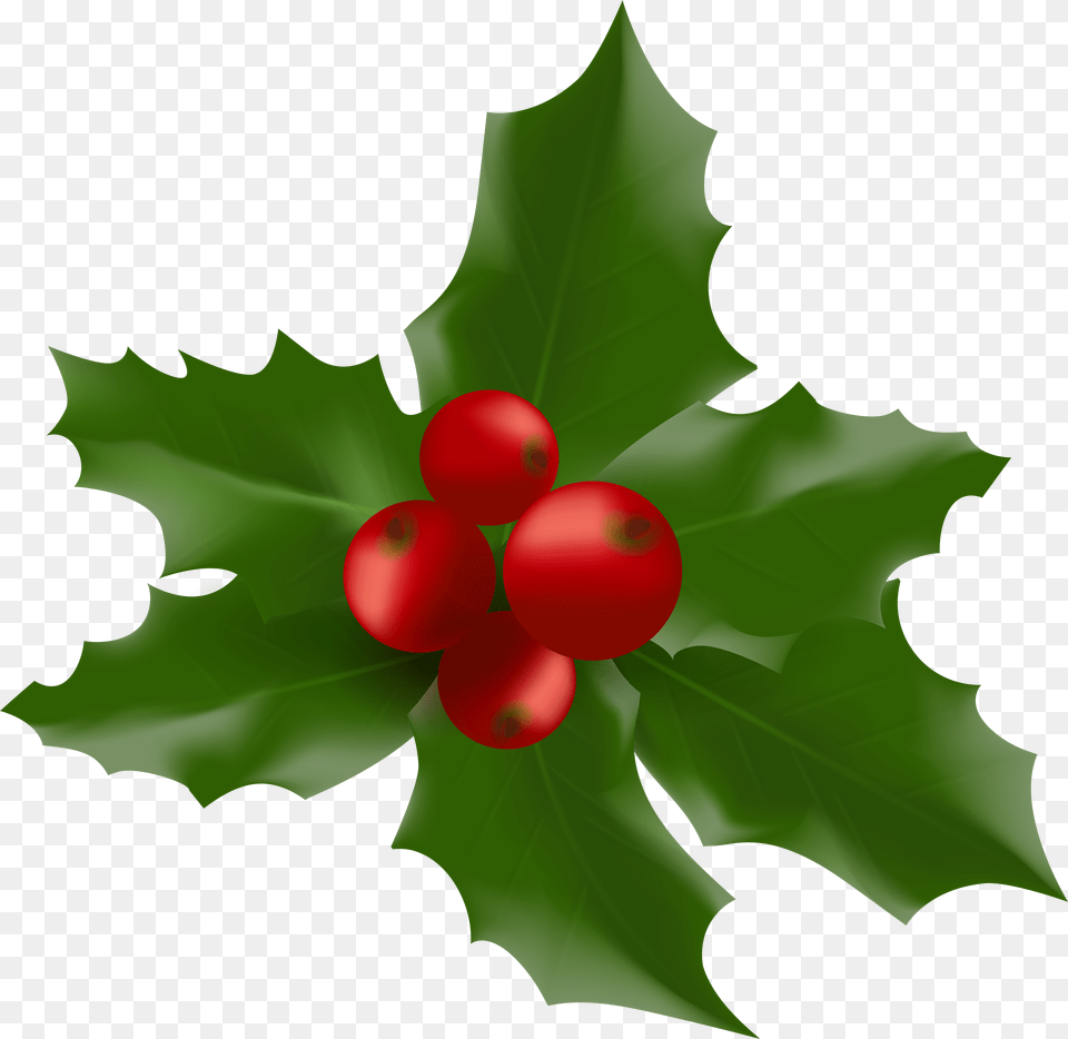 Christmas Mistletoe Large Clipart Muerdago Fondo Transparente, Food, Fruit, Leaf, Plant Free Png