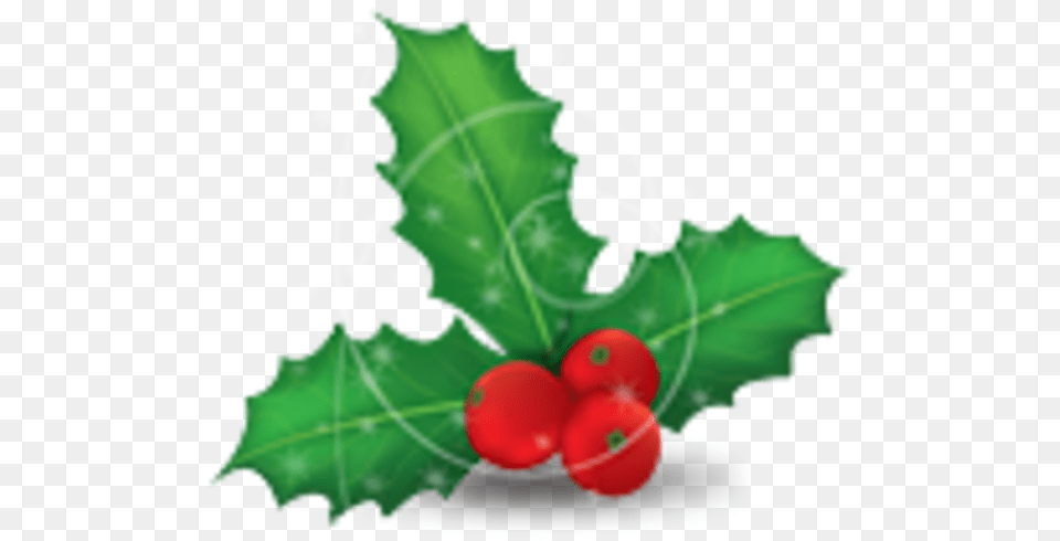 Christmas Mistletoe Transparent Cartoon Jingfm Christmas Mistletoe, Plant, Leaf, Fruit, Produce Png