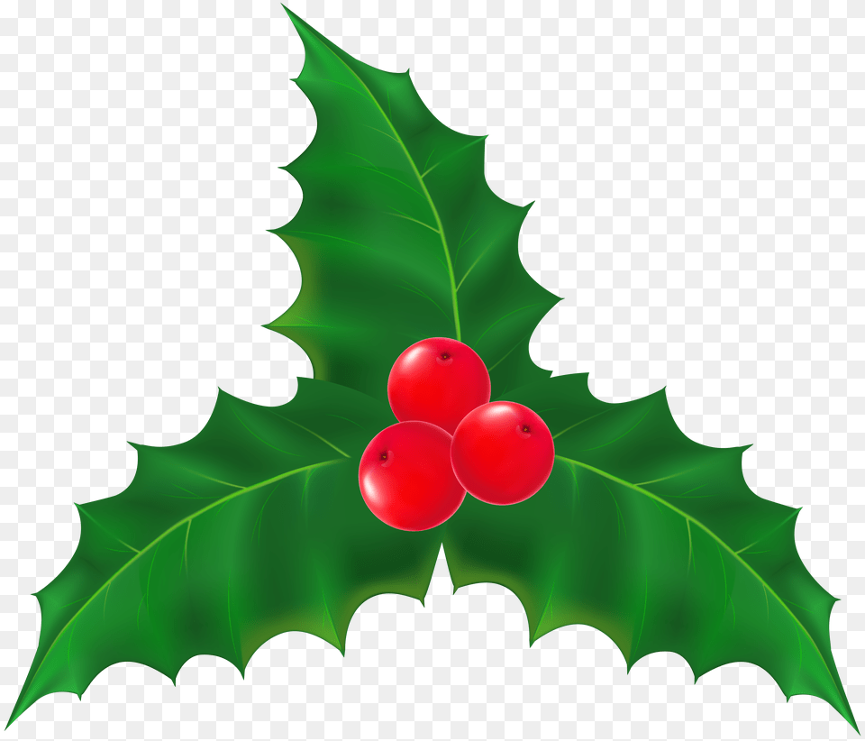 Christmas Mistletoe Transparent Clip, Produce, Plant, Food, Fruit Png