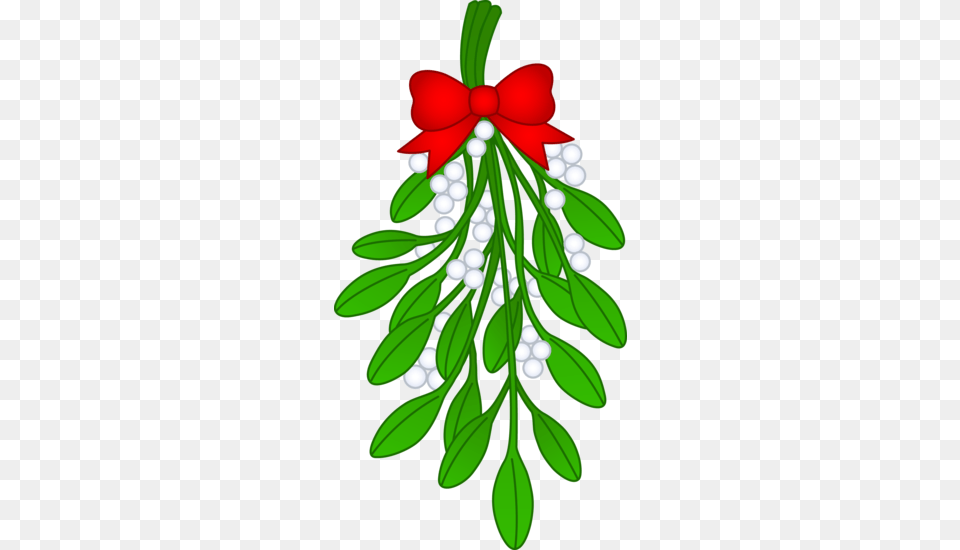 Christmas Mistletoe With Red Bow, Green, Leaf, Plant, Herbal Free Png