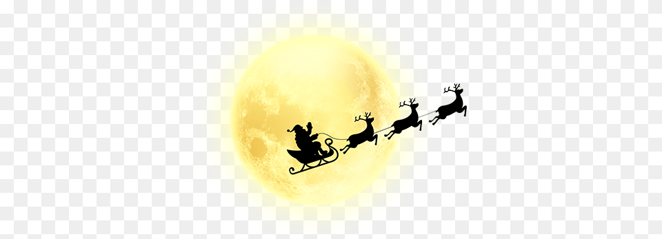 Christmas Moon Full Moon, Silhouette, Outdoors, Animal, Kangaroo Free Png
