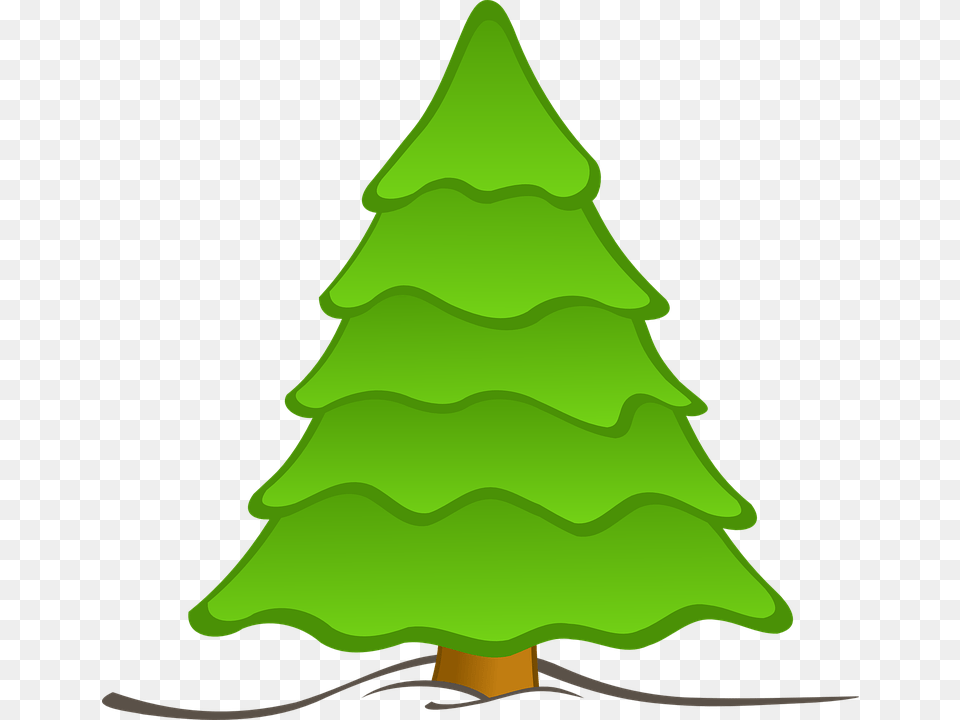 Christmas Nature Picture, Green, Plant, Tree, Person Png
