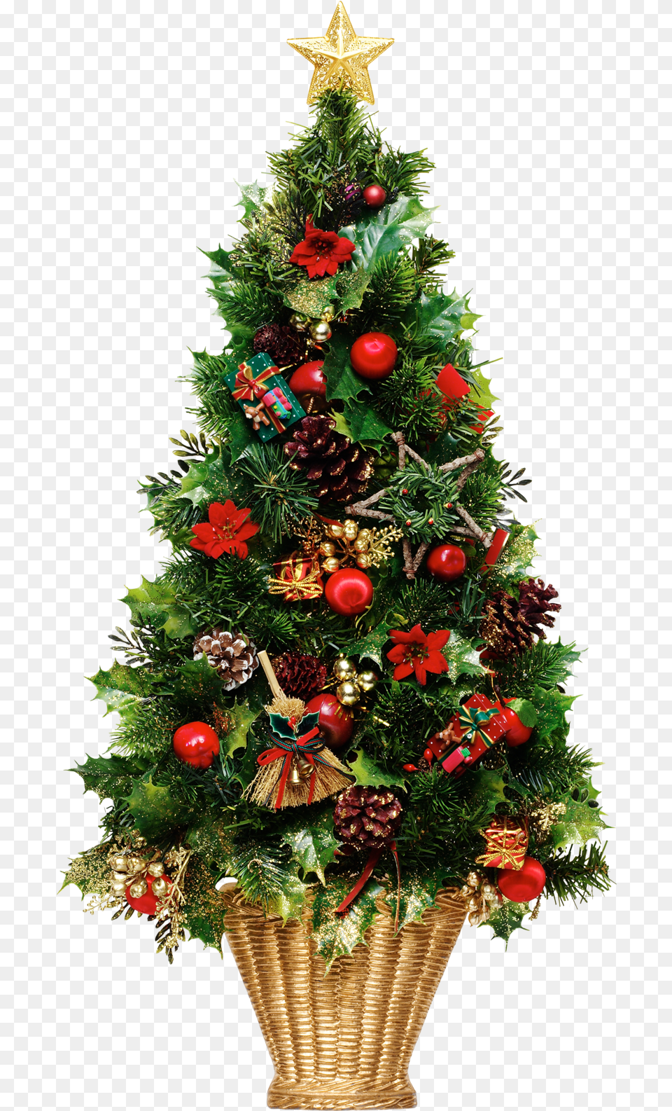 Christmas New Year Tree, Plant, Christmas Decorations, Festival, Christmas Tree Png